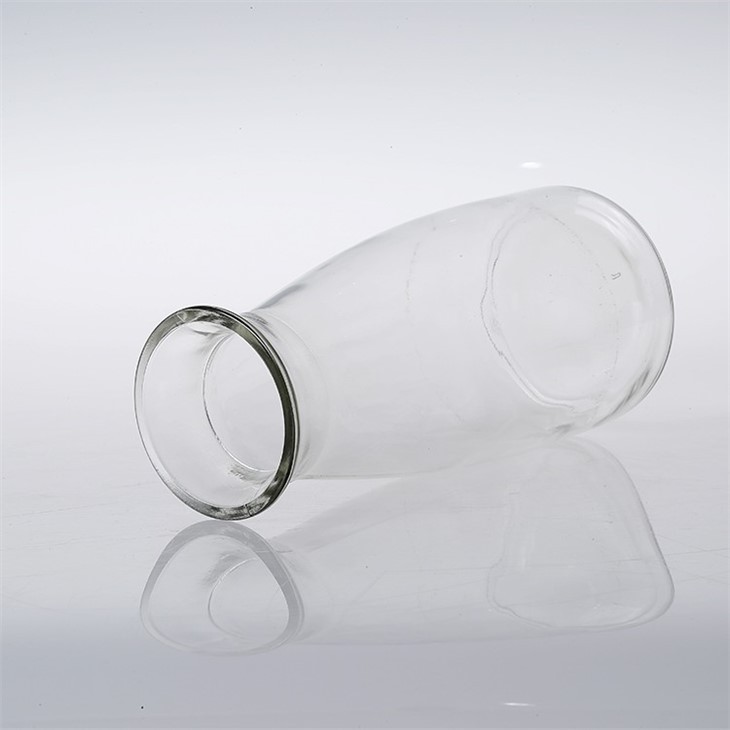 Clear Glass Vase