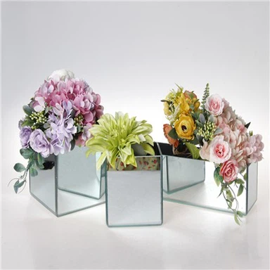 Cube Square Plant אגרטל פרחים מזכוכית הידרופונית
